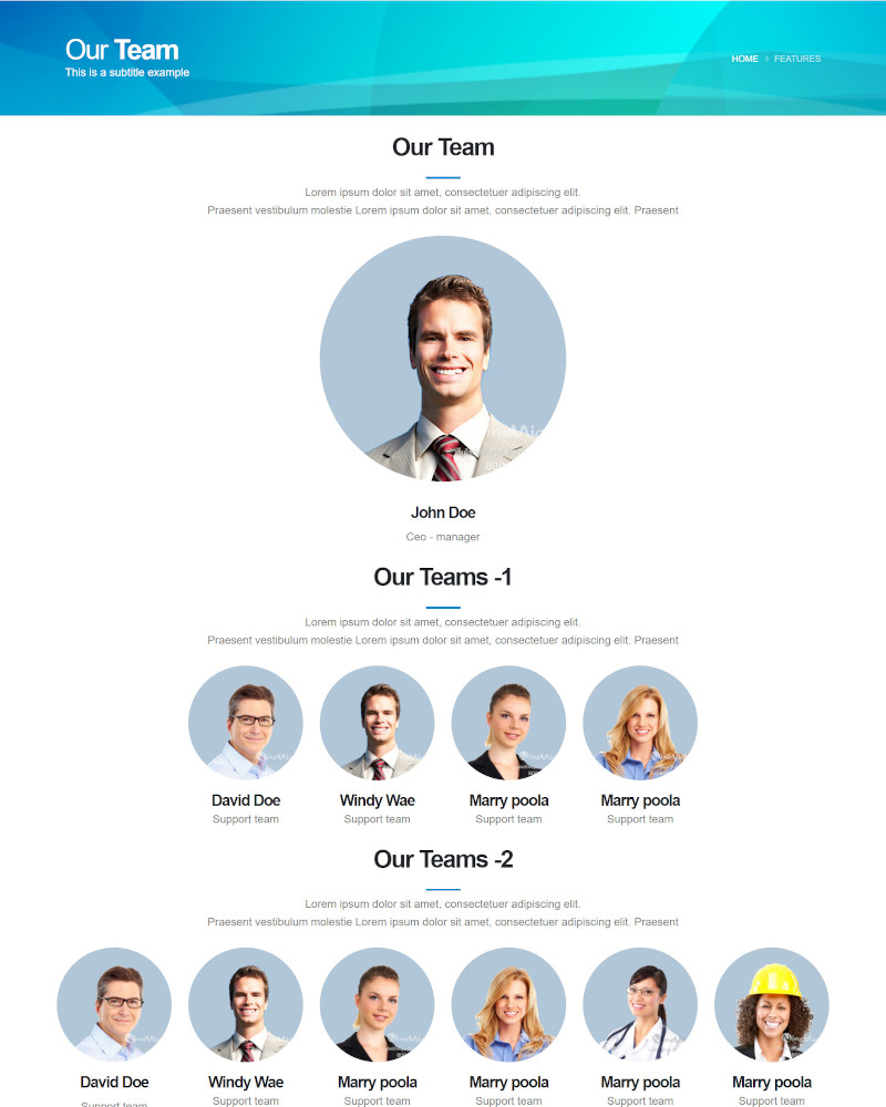 เว็บไซต์สำเร็จรูป - layouts สำเร็จรูป :  Our team