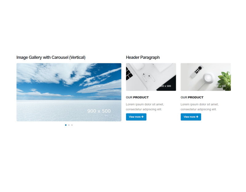 Shortcodes Image Gallery - with carousel vertical แนะนำ เว็บไซต์สำเร็จรูป NineNIC