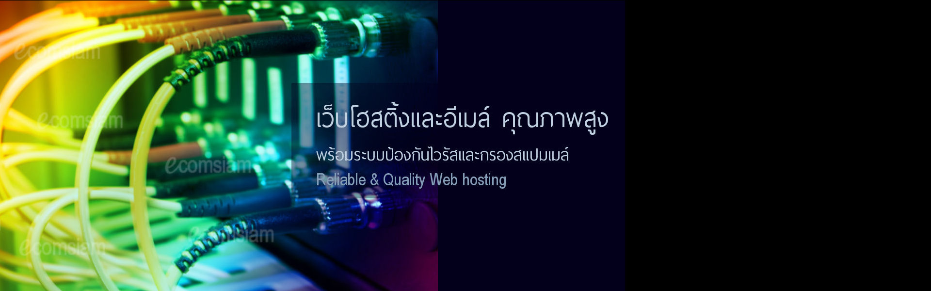 บริการเว็บสำเร็จรูป ฟรี โดเมนเนม ,web hosting thailand datacenter รับจดโดเมนเนม
